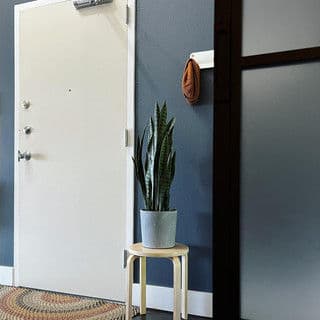 Indoor entryway with a large plant in a pot on a stool, and a door with a modern design.