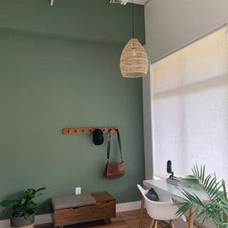 Cozy room with green wall, hanging lamp, plant, and minimalist furniture setup.