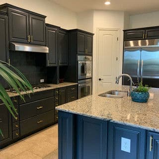 Modern kitchen with navy cabinets, granite countertops, stainless steel appliances, and a plant.