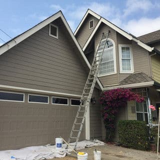 House exterior undergoing painting with a ladder, flowers, and tarp on the ground.