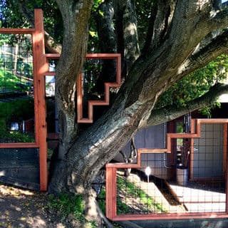 Unique staircase design integrated into a tree, showcasing natural architecture and outdoor living.