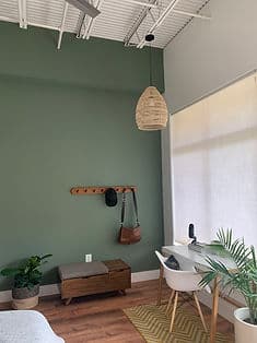 Cozy green-themed room with a modern desk, hanging light, and indoor plants.